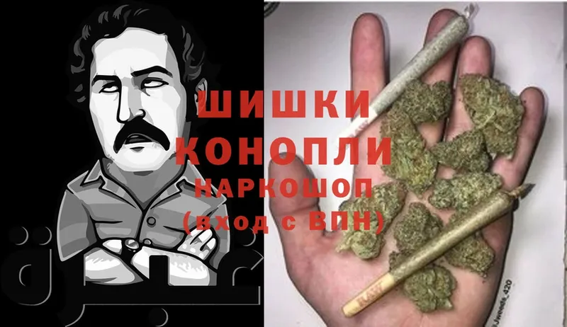 Конопля White Widow  Ессентуки 